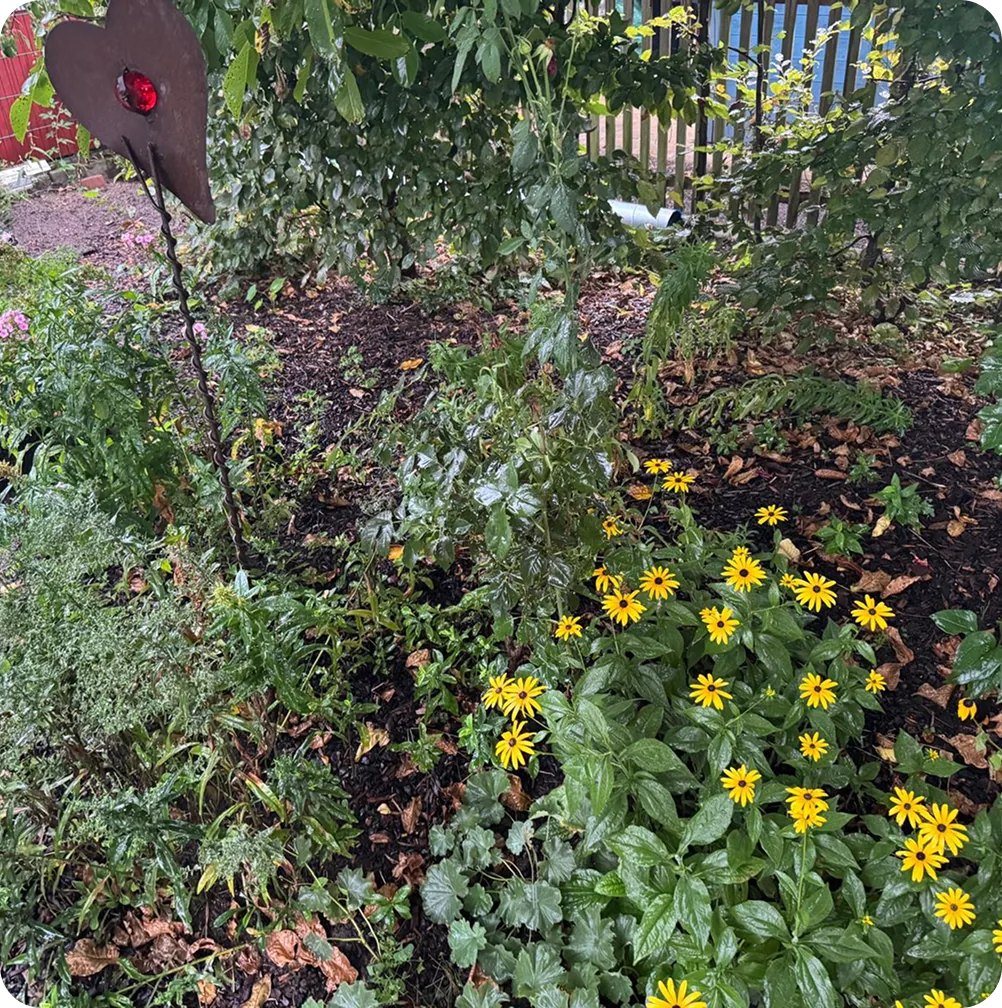 Naturnahes Staudenbeet mit gelbem Sonnenhut und Rostherz als Gartenstecker