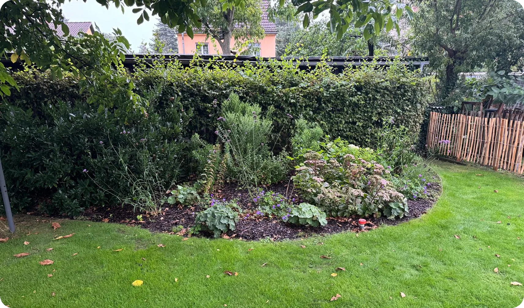 Vorher: geschwungenes Beet vor Hecke mit wenigen Stauden und Laub